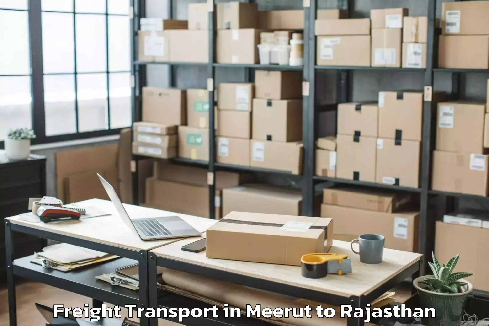 Book Meerut to Amet Freight Transport Online